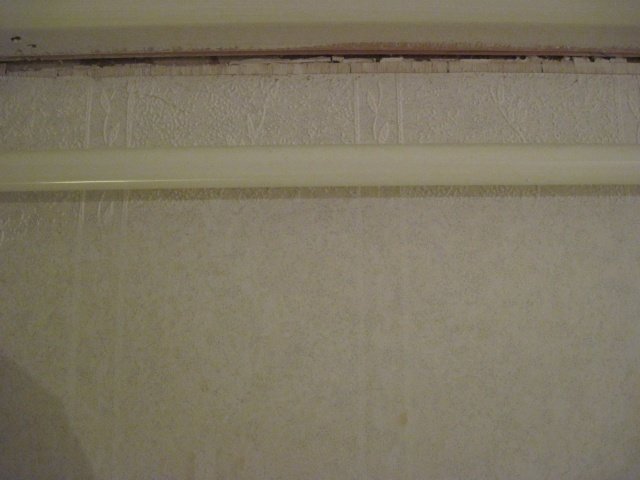 IMG_1494.jpg