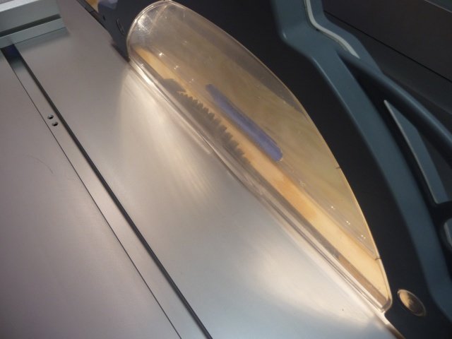 P1050135.jpg