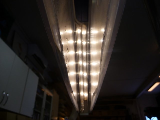 P1050141.jpg