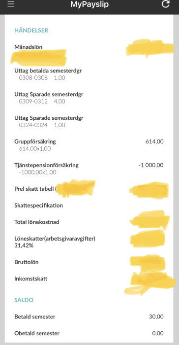 Censurerad lönespecifikation som visar olika posteringar som månadslön, semesterdagar, försäkringar, och bruttolön.