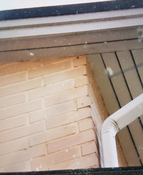 Tegelfasad med mörkare våta fläckar vid hörn nära stupränna, diskuterad fuktskada.