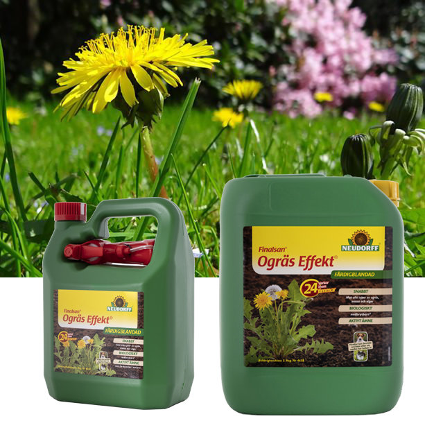 Ogräsmedel från Neudorff och blommande maskros på en gräsmatta.