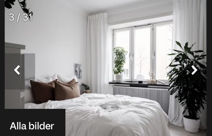 Sovrum med säng framför ett fönster, vita gardiner och en stor grön planta, modernt och minimalistiskt inrett.