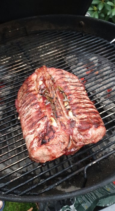 Välgrillat köttstycke med grillränder och rosmarin på kolgrill.