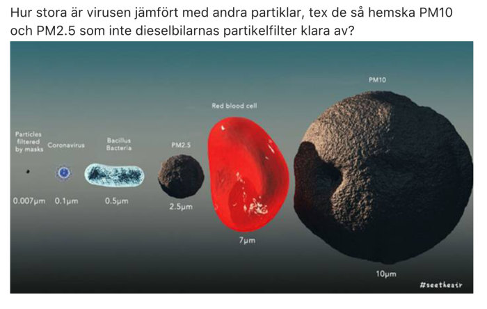 Illustrativ jämförelse av olika partikelstorlekar inklusive virus, bakterier och PM-partiklar mot en röd blodkropp.