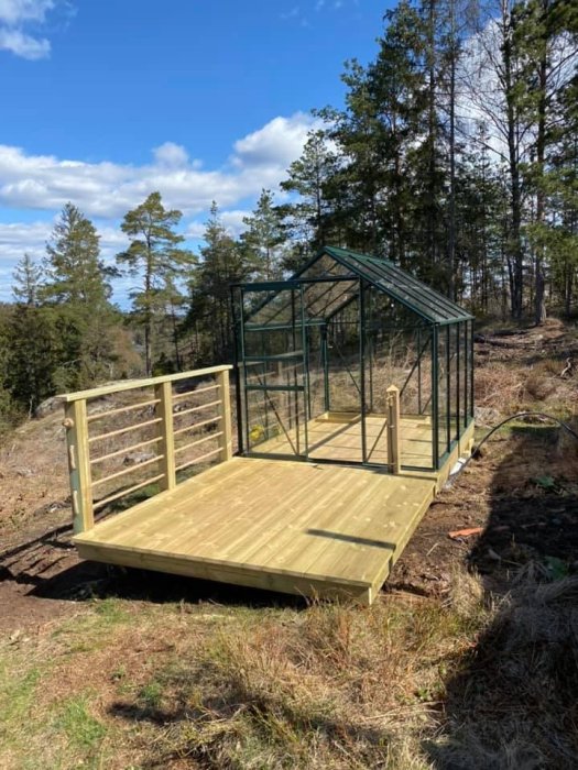 Nybyggt trädeck med räcke framför ett växthus i skogsmiljö under solig himmel.