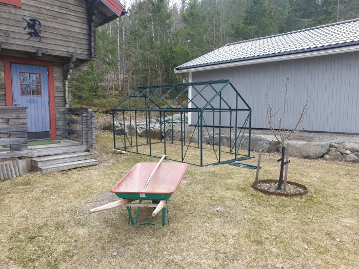 Delvis ihopsatt växthusram bredvid ett träd, med en röd skottkärra och verktyg på en gräsmatta framför ett hus.