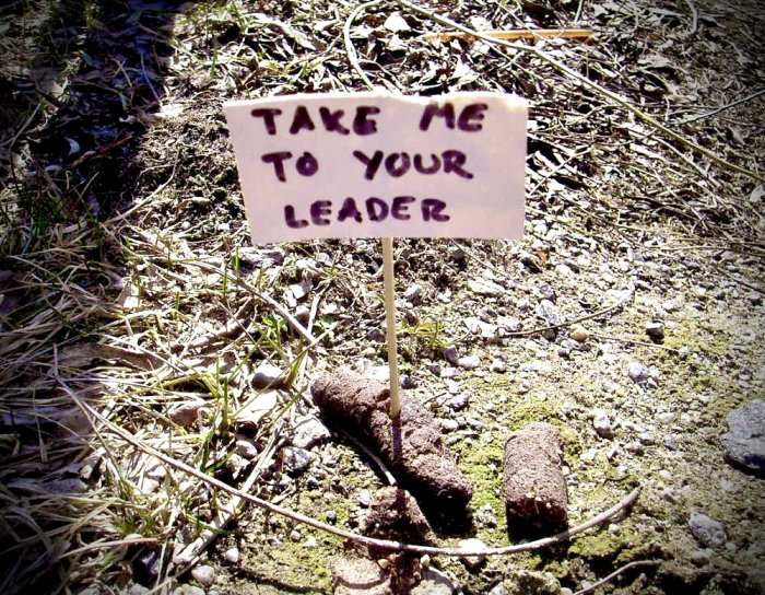 En liten handskriven skylt med texten "TAKE ME TO YOUR LEADER" planterad i marken bredvid en hög.