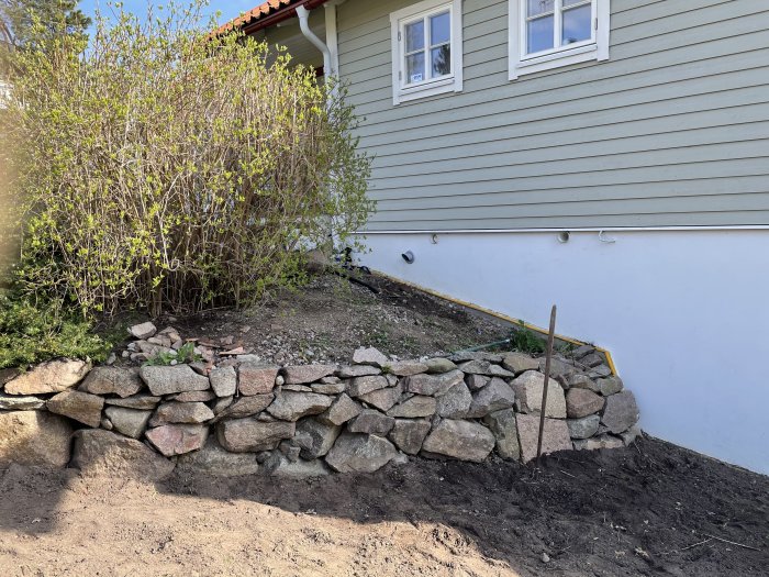 Stenmur vid husvägg med stor sten och övervuxen buske som ska klippas ner, jord redo för plantering.