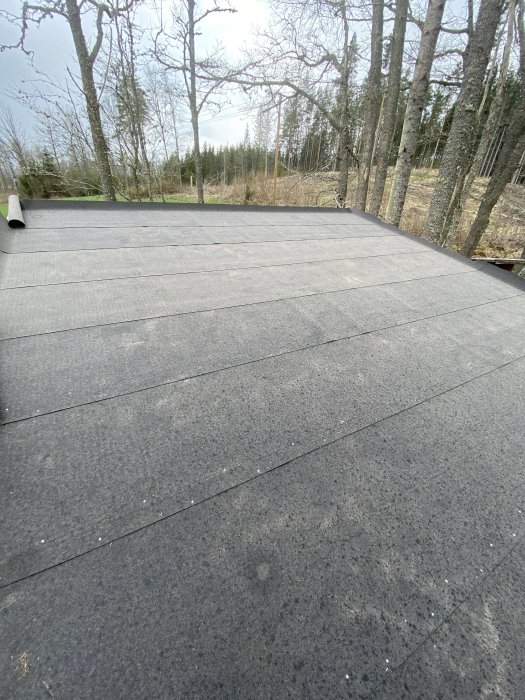 Tak med nylagt underlagspapp på råspont, i ett skogsmiljöområde, klar precis innan regn.