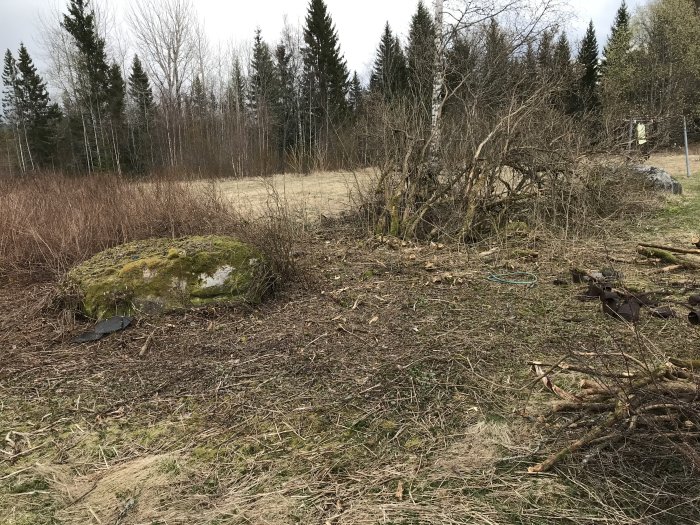 Nerkapad syrenhäck med ris och grenar utspridda på marken i en trädgård.