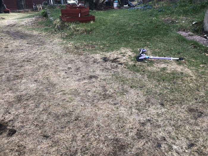Brun tillplattad gräsmatta med skadade partier och en sparkcykel på sidan.