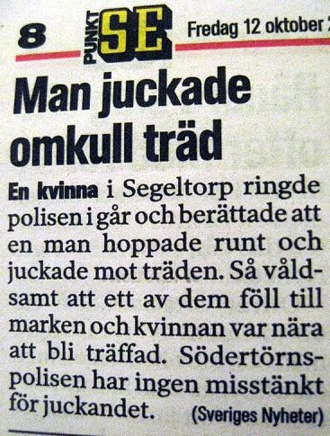 Utsnitt av en tidningsartikel med rubriken "Man juckade omkull träd" och text som beskriver en händelse där en man skakade ett träd så det föll.