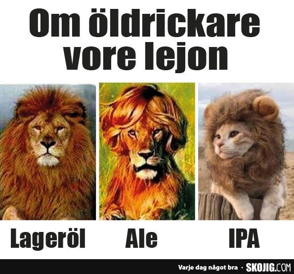 Humoristisk bild som jämför ölsorter med lejon, med text "Om öldrickare vore lejon" och ord "Lageröl", "Ale", "IPA".