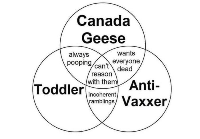 Venn-diagram med egenskaper hos Canada Geese, Toddlers och Anti-Vaxxers.