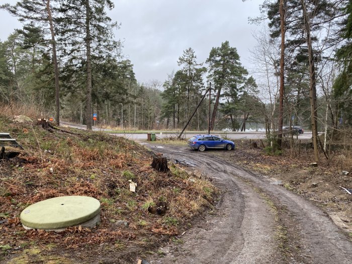 Bild på en skogstomt med nyligen avverkade träd, en grusväg framför och en blå bil vid en vägkorsning i bakgrunden.