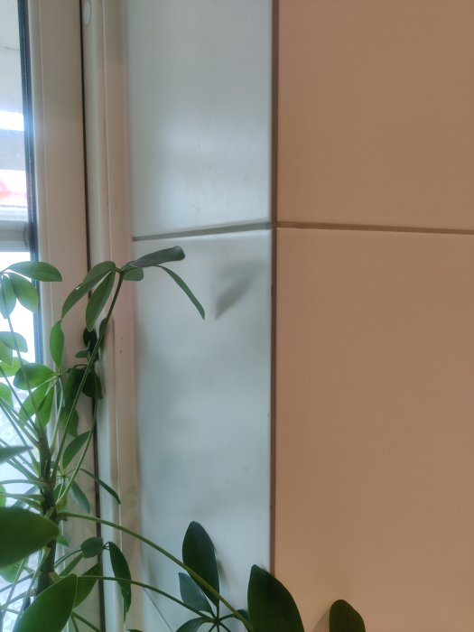 Kaklade väggar i badrum med okapade kanter vid fönsterkarm och en grön växt i förgrunden.