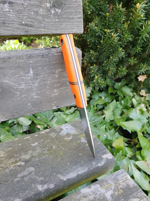 Färdigslipad kniv med orange skaft fastkilad i en grå träbänk, omgiven av gröna växter.