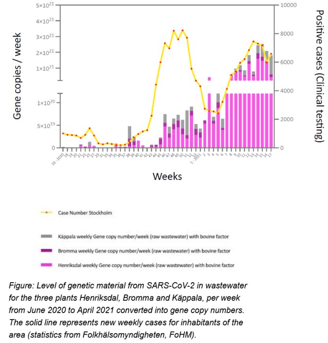 Graf som visar SARS-CoV-2 RNA-nivåer i avloppsvatten jämfört med antalet kliniskt positiva fall i Stockholm veckovis.