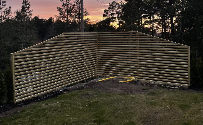 Hembyggd träspaljé för klätterrosor vid skymningen med skog i bakgrunden.