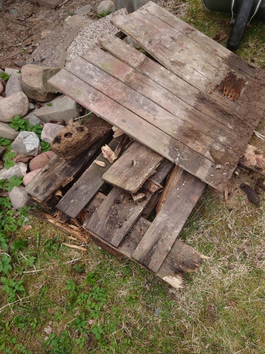 Gammal skadad träpall som brutits ner och ligger på marken omgiven av stenar och gräs.