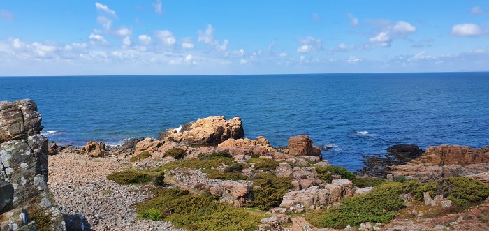 Kustvy vid Hovs hallar på Bjärehalvön med klippor, hav och vegetation.