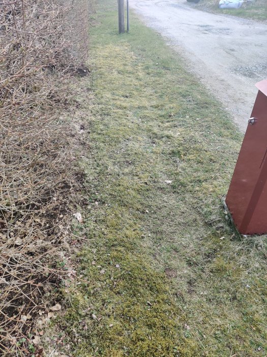 Långsmal korridor av gräsmatta med stenig kant och grusväg, potentiellt för gräsklipparens guidkabel.