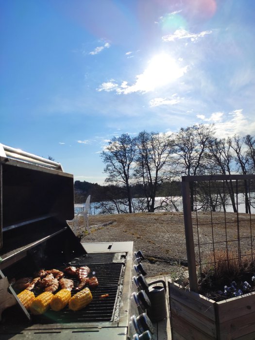 Grill med mat framför sjö och träd under solig himmel.