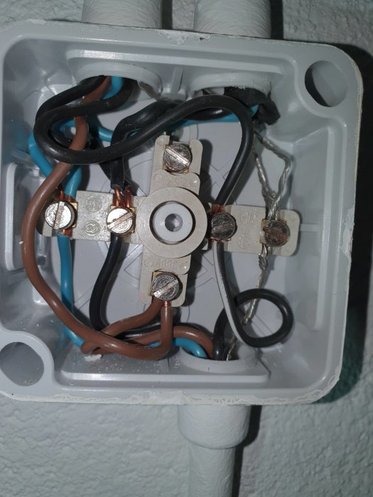 Elektrisk dosa med blå, brun, svart, svartvit och bilkabel anslutna till trappströmbrytare.
