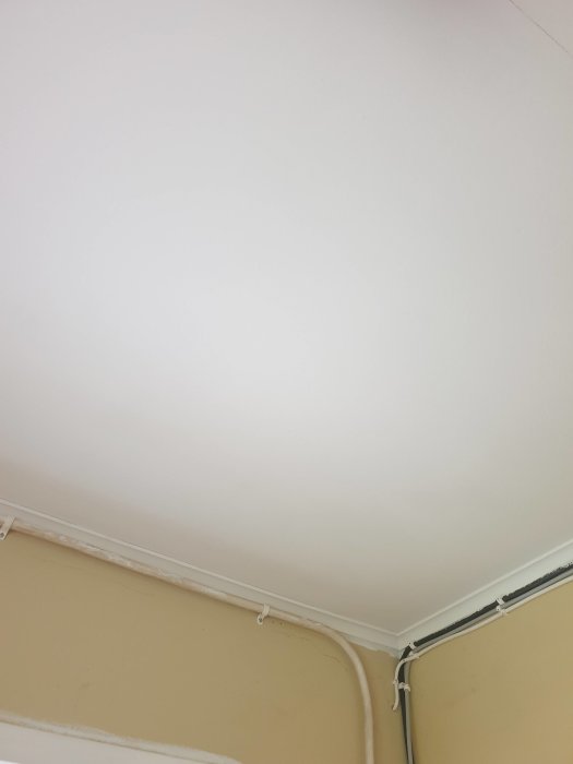 Nymålat vitt tak, utan fläckar, med väggar och lister som kontrast.
