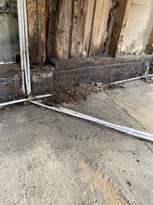 Skador från fukt och mögel vid foten av trävägg, murkna reglar och syll, samt mössskräp på betonggolv i renoveringsprojekt.