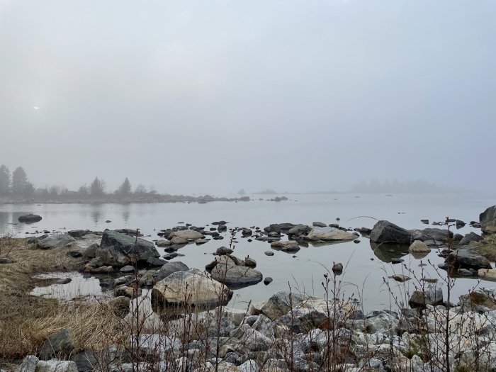 Dimmig sjöutsikt med klippor och stenar vid vattenbrynet, träd skymtar i bakgrunden.