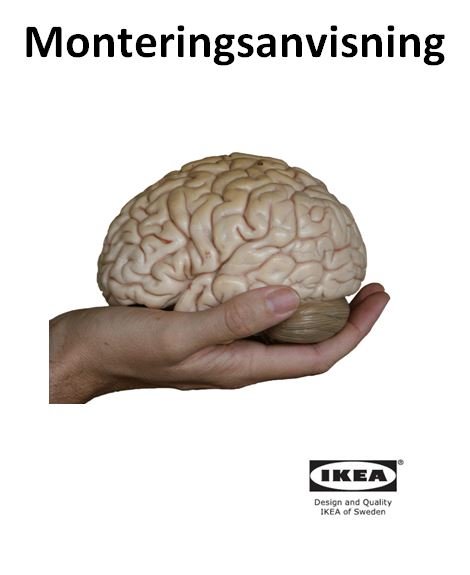 En hand som håller en modell av en mänsklig hjärna med texten "Monteringsanvisning" och IKEA-logotypen nedanför.