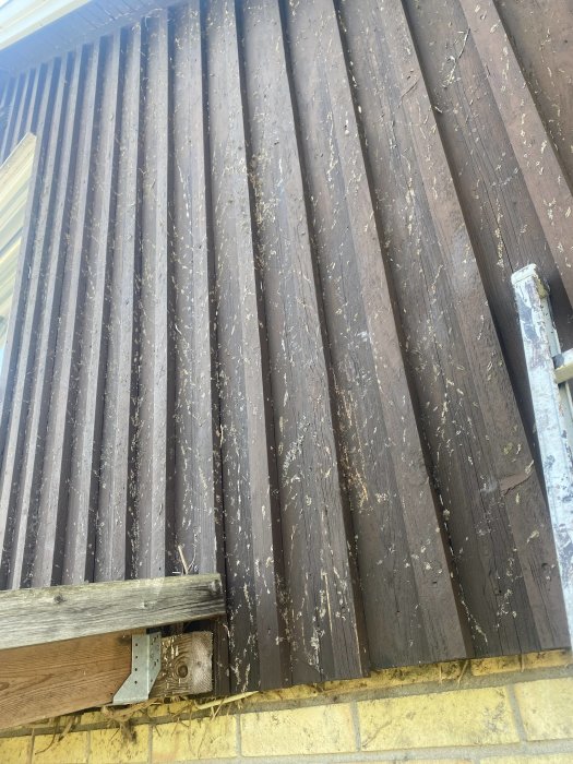 Väggpanel med rester från klätterväxter som är svåra att ta bort, behov av rengöringstips.