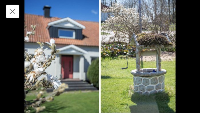 Två delade bilder: Ett rött tegelhus med svart tak och vit entré, samt en detalj med blommande magnolia och en dekorativ brunn i trädgården.