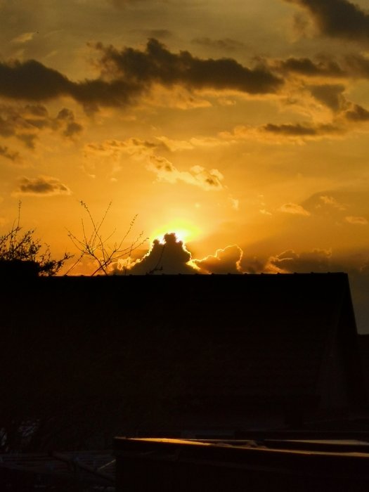 Solnedgång bakom hus med silhuetter av träd och moln mot en orange himmel.