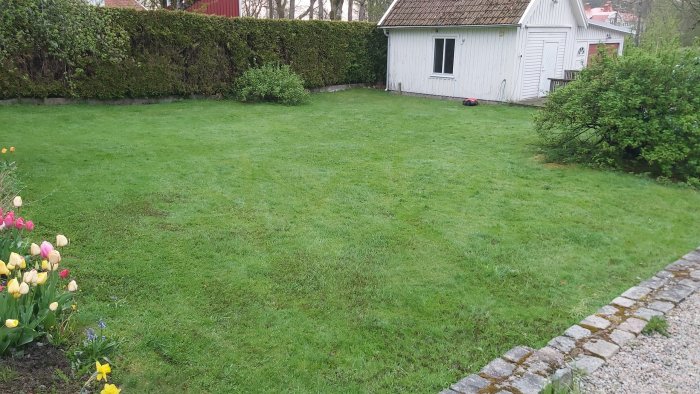 En rymlig, ojämn gräsmatta med några backar, blommor i förgrunden och ett litet vitt hus i bakgrunden.