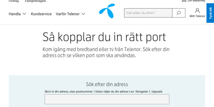 Skärmklipp från Telenors webbsida med titeln "Så kopplar du in rätt port" och adressökfält.