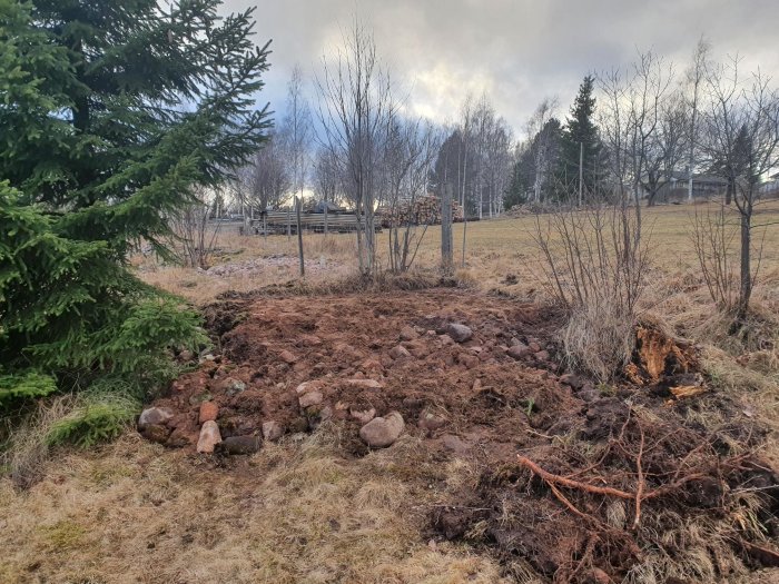 Markberedning för bastubygge med utsikt, röjt område med jord och stenar, träd i bakgrunden.