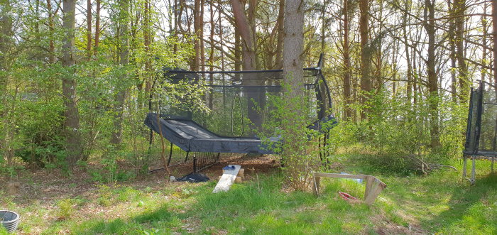 Studsram av trampolin fast förankrad bland träd för att motstå stormar.