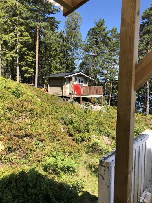 Nybyggd trädäcksaltan framför ett sommarstugeliknande hus omgiven av skog och grönska under en solig dag.