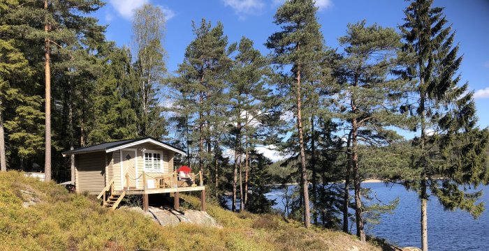 Altan med nylagd trall vid en stuga med sjöutsikt, omgiven av träd och blå himmel.