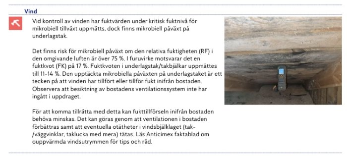 Undersida av ett vindstak med synliga fuktfläckar samt en fuktmätare som visar en hög fuktighetsnivå.