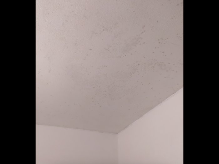 Flagnande takfärg och mögelavlagringar i ett hörn av ett rum.