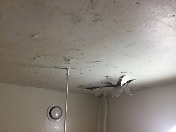 Tak med flagnande färg och mörka mögelavlagringar, med en taklampa i förgrunden.