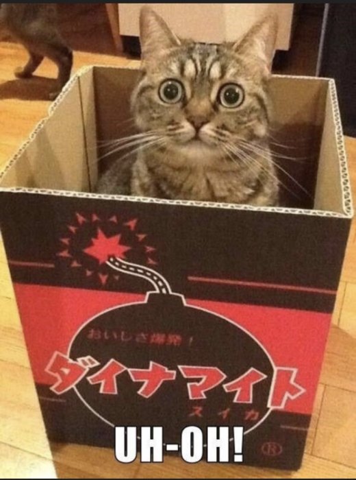 Förvånad katt i en kartong med texten "UH-OH!" och bild av en tändsticka.
