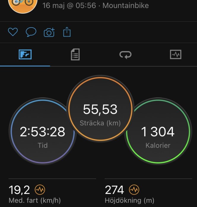 Skärmavbildning av aktivitetsdata med sträcka, tid, kaloriförbrukning, medelhastighet och höjdstigning från en cykeltur.