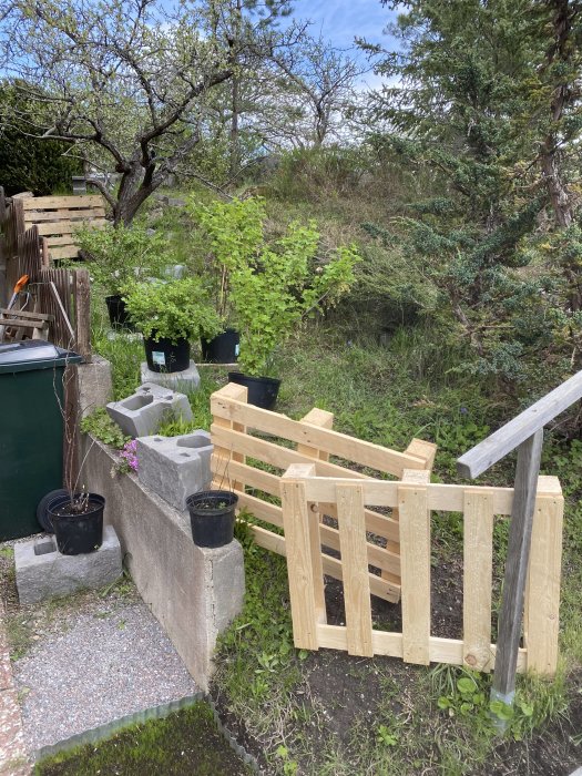 Hemmagjord träbarriär vid trädgårdens kant för att avskräcka rådjur från att komma in.