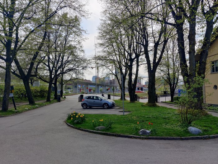 Grönskande stadsmiljö med träd, bil och byggnader i Stockholm.