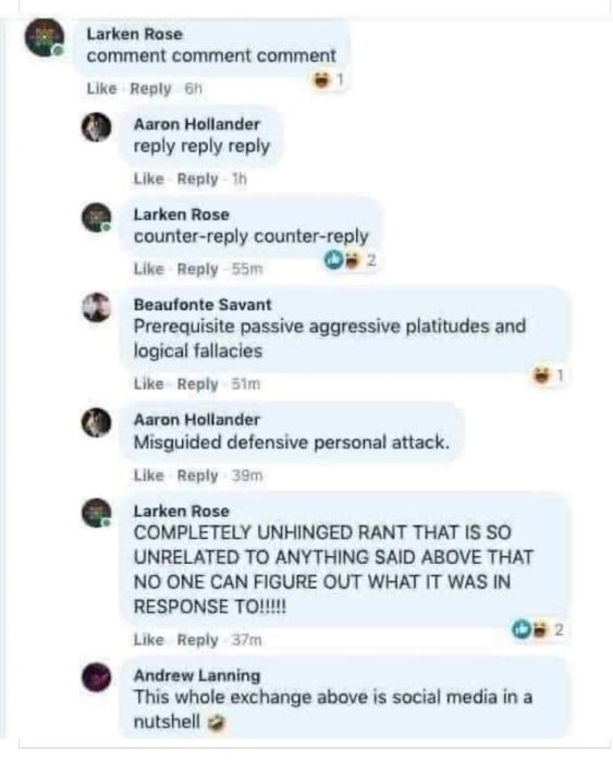 Skärmbild av en diskussionstråd med fiktiva namn och satiriska kommentarer som illustrerar en typisk social media-argumentation.
